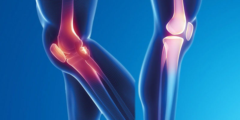 Department of Sports Injuries, Arthroscopy and Knee Surgery